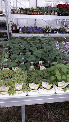Simones Landgartenmarkt