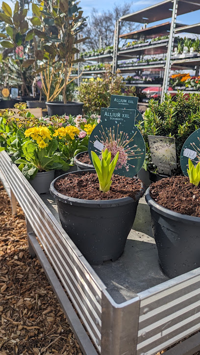 Simones Landgartenmarkt