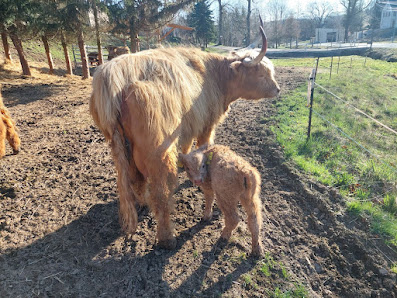 Landschaftspflege Daniel