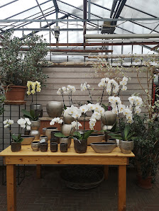 Blumen Pfann