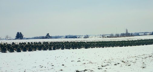 Gärtnerei Fröhlich