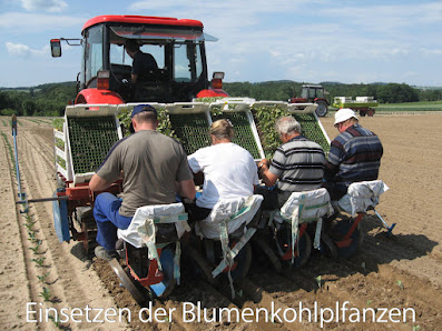 Gartenbau Fröhlich