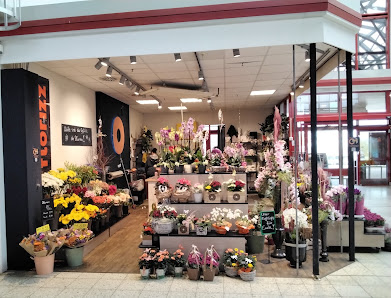 florizz- Blumen