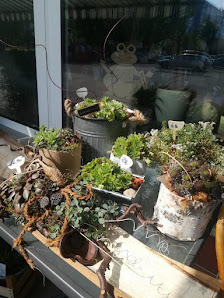 Blumengeschäft Paulo