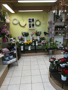 Blumen Träume Doreen Baur