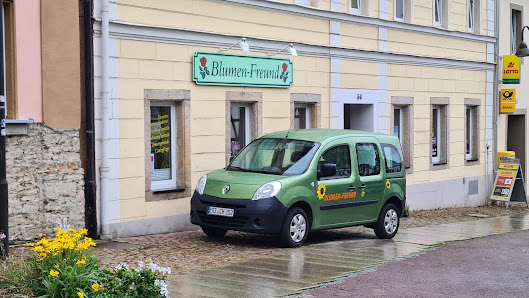 Blumen-Freund