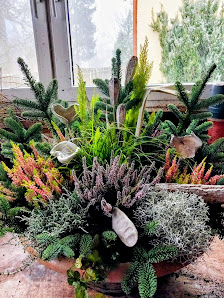 Blumenladen Reina Trapp