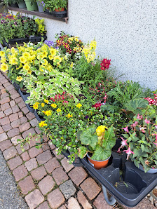 Blumeninsel Beate Weinrich