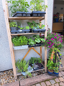 Blumeninsel Beate Weinrich