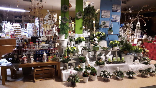 Blumen & Geschenkewelt Meißgeier