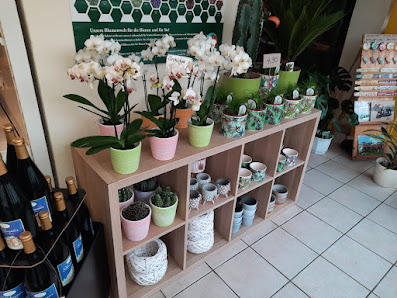 Blumenparadies Heiko Tetzlaff