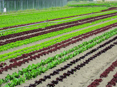Bio-Landwirtschaftsbetrieb in Nürnberg