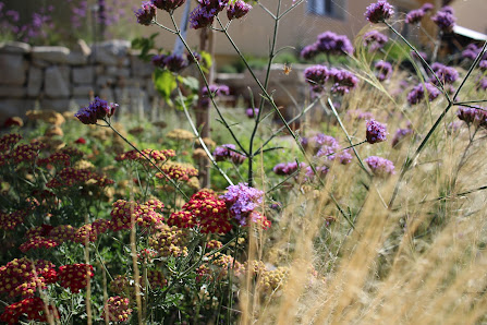 Dein Gartenraum Steffen Langbein