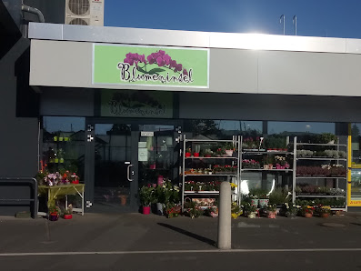 Blumeninsel Inh. Jolanta Lochner Floristenfachgeschäft