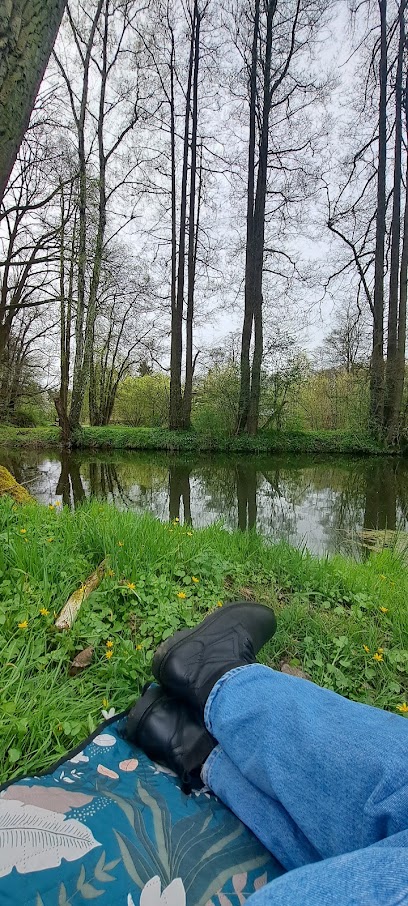 Garten- und Landschaftsbau VIRIDIS