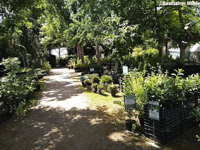 Gartenbaumschule Saathainer Mühle
