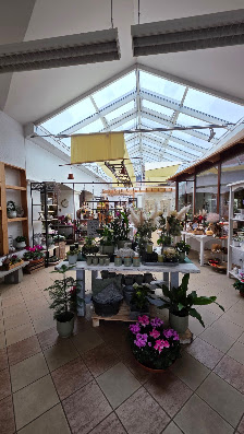 Blumenladen M. Krautz