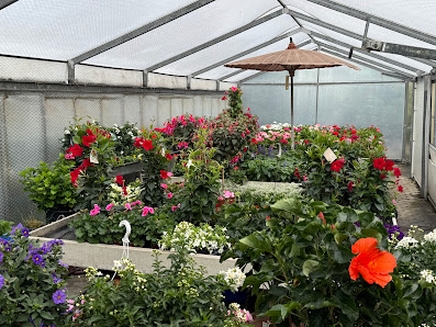 Blumen Basler, C. Weiß Gärtnerei Grabpflege