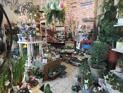 Blumenhaus A. Rosse