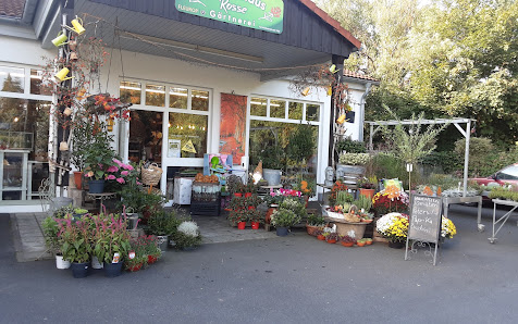 Blumenhaus A. Rosse