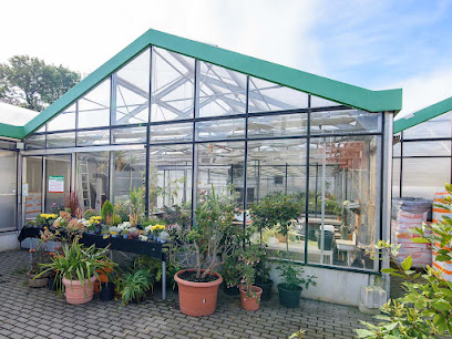 DON BOSCO SACHSEN - Gärtnerei Hartmannsdorf