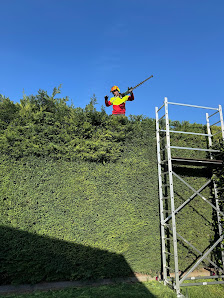 Baum und Garten