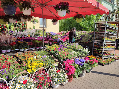 Blumeninsel Gittersee