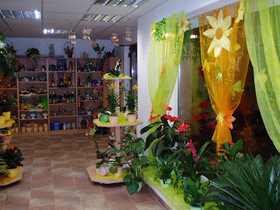 Kerstin’s Blumen- und Geschenkeshop UG (haftungsbeschränkt)