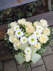 Meine Blume S. Umann