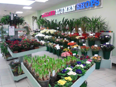 Holland Blumenshop