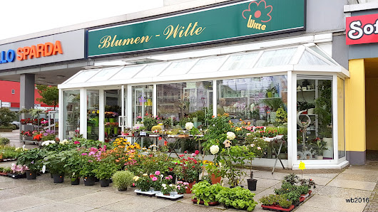 Blumen-Witte