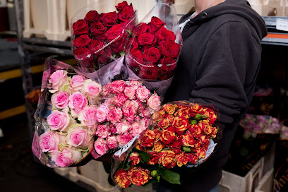 Blumen-Großhändler