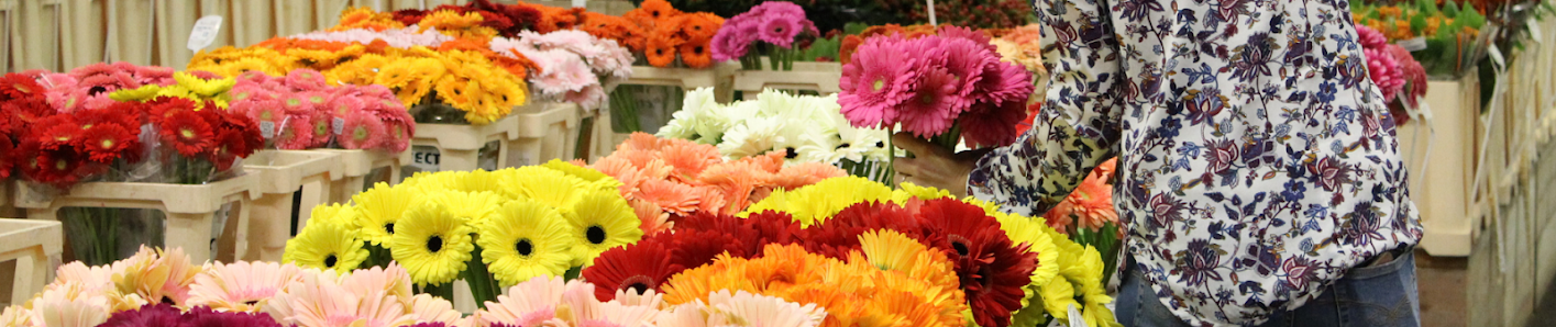 Florades GmbH Blumengroßhandel Dessau