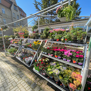 Christiane's Blumeneck