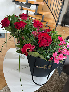 Blumen Schlegel