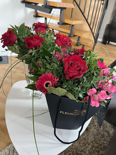 Blumen Schlegel