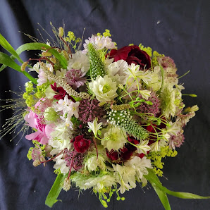 Blumen Pitzschler - Inh. Sandra Fandrich