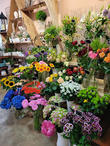 Meinhardt BLUMEN