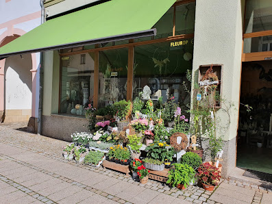 Meinhardt BLUMEN