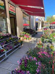 Blumenland