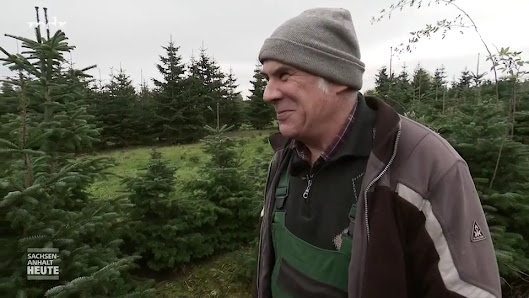 Landschaftsbau Weihnachtsbäume Axel Krimmling