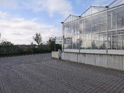 Gartenbau Kühne GbR