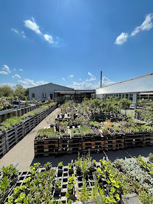 floraque Stauden & Zierpflanzen GmbH