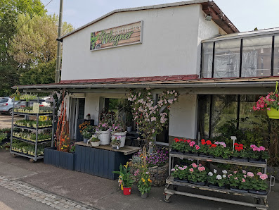 Blumen & Gartenbau Wagner - Inh.: Ulrike Dabelstein