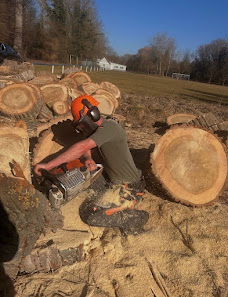 Wernecke Landschaftsgestaltung