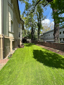 luminousgarden Inh. Steve Kolleßer