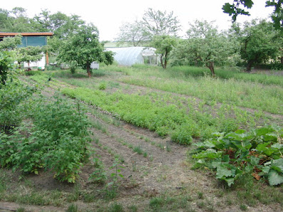 Öko-Gartenbau