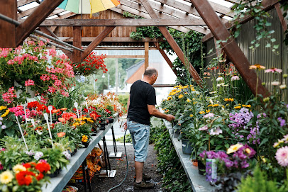 Gartenbau & Blumen Frank Dietze