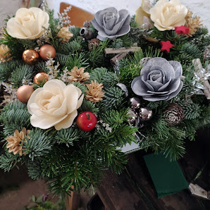 Blumen der Welt Stracke UG
