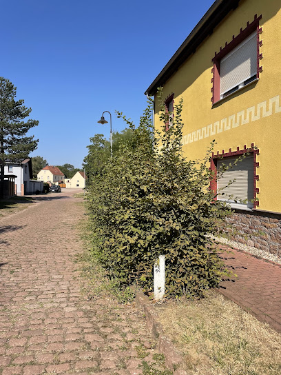 Gartenhelfer Petersberg